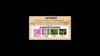 pathogens🦠🦠 types of pathogen virus trendingvideo viral science video ytshorts amazingscience [upl. by Champagne325]