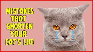 Numerous Mistakes That Shorten Your Cats Life  9 Will Surprise You [upl. by Sollars573]