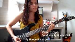 Pink Floyd  Comfortably Numb Solos Cover by Noelle dos Anjos [upl. by Rozella414]