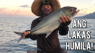 FISH UNLOCKED English and Tagalog Subs EP 17 [upl. by Anilak309]