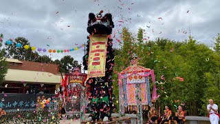 Hung Hing Lion Dance Association  ‘Awakening of the Dragon’ Bendigo Easter Festival 2023 [upl. by Emor]