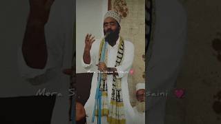 Mohammad Ali Faizi Naat Status mohammadalifaizi shorts shortsfeed naat status [upl. by Everick721]