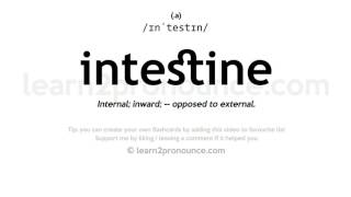 Pronunciation of Intestine  Definition of Intestine [upl. by Follansbee]