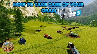 How To Take Care Of Your Grass  Farming Simulator 22 [upl. by Noisla]