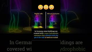 Urine proof paint in Germany 😂😯 hydrophobic hydrophobicsand germanyinformation germanyshorts [upl. by Anairad]