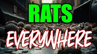 Rats EVERYWHERE [upl. by Nesnah]