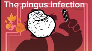 The pingus infection [upl. by Nim]