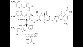 Bleomycin [upl. by Erasmus]