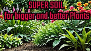 This SUPER SOIL makes plants grow FASTER [upl. by Einnej646]