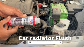 Car Radiator Flush  Liqui Moly Radiator Cleaner [upl. by Arobed]