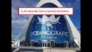 Oceanografic VALENCIA Il piu grande PARCO MARINO dEuropa [upl. by Tillman701]