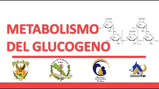 BIOQUIMICA  Asesoria METABOLISMO DEL GLUCOGENO Glucogenesis y glucogenolisis [upl. by Nurse]