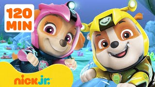 PAW Patrol Anywhere But Adventure Bay Rescues 💥 2 Hours  Nick Jr [upl. by Akehsay]