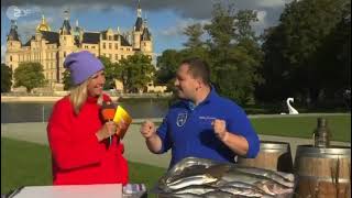 ZDF Fernsehgarten on Tour in Schwerin Fischsommelier André Domke bei Andrea Kiewel [upl. by Durning]