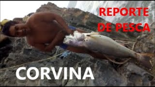 Corvina lenguado cabrilla lorna tramboyo  Reporte de pesca [upl. by Ainslie]