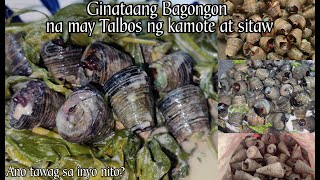 How to Cook Ginataang Bagongon na may talbos ng sitaw at kamote cookingvlog seashell [upl. by Zolly]