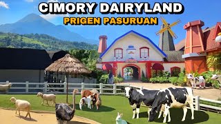 CIMORY DAIRYLAND PRIGEN PASURUAN TERBARU FULL REVIEW CIMORY PRIGEN FARM THEME PARK [upl. by Cheslie]