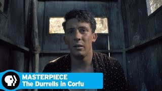 THE DURRELLS IN CORFU on MASTERPIECE  Episode 4 Scene  PBS [upl. by Kovacs711]