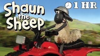 Shaun the Sheep Season 1  Episodes 2130 1 HOUR [upl. by Alaikim]