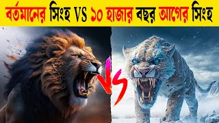 ইতিহাসের সবচেয়ে ভয়ঙ্কর দুইটি প্রাণীর লড়াই  SaberToothed TigerSmilodon vs Barbary Lion [upl. by Idnib]