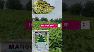 MANCOZEB Fungicide ka upyog kaise kare shorts agrishort mancozeb [upl. by Nemzaj]