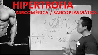 GANAR MASA MUSCULAR ¿SARCOPLASMÁTICA O SARCOMÉRICA [upl. by Ennasor]