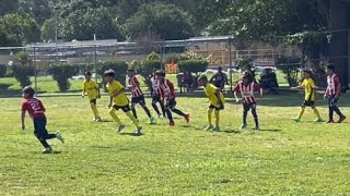 ChivasFC Vs DynamoFC Division14 ⚽️🏅Football Soccer Club League🏅⚽️ [upl. by Pattani]