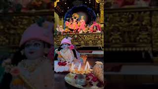 Shri Krishna Govind hare Murari laddu happy radheshyam song viralvideo krishnadk abhijanlove [upl. by Ahseiuqal]