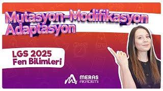 Mutasyon Modifikasyon Adaptasyon  LGS 2025 [upl. by Akerue787]