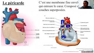 Le Système Cardiovasculaire  Cours Complet [upl. by Nosdrahcir]