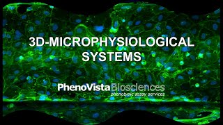 3DMicrophysiological Systems [upl. by Cassaundra]