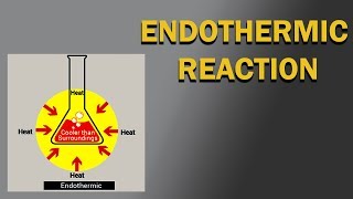 ENDOTHERMIC REACTION 07 [upl. by Rosecan]