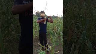 Deshi balak Gama 🦍❤️deshi farming motivation viralshorts fitness [upl. by Ertha]