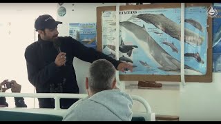 Clip du label quotHigh Quality Whale Watchingquot [upl. by Tubb]