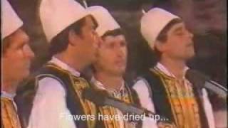 Flaka Mbuloi Fshane Albanian folk music with English subtitles [upl. by Gemperle898]