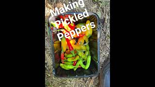 Making Pickled Peppers [upl. by Nyletac]