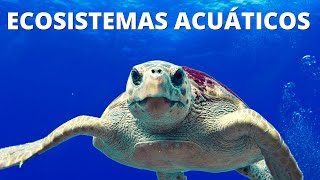 ¿Qué son los ECOSISTEMAS ACUÁTICOS Características tipos y ejemplos🌊 [upl. by Huey]