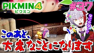 【実況】ピクミン4 37 完全初見プレイ【個人勢Vtuber】 [upl. by Goodyear832]