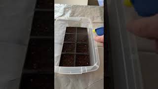 Winter Sowing Open Pot Method [upl. by Alemap394]