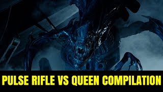 Pulse Rifle vs Alien Queen Compilation [upl. by John479]