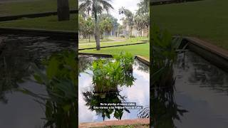 Conoce Jardín Botánico de Cuba cuba2024 travel cubahoy naturaleza conocecuba asiestacuba vlog [upl. by Atoel]