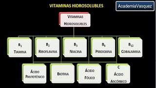 Vitaminas hidrosolubles Vitamina B3 o Niacina o Ácido nicotínico [upl. by Ynad]