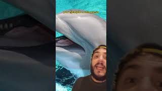 Las ballenas tienen pelo 33 biologia ballena datoscuriosos animaldex shorts viralvideo [upl. by Georgeanna142]