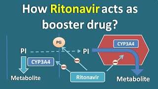 How Ritonavir acts as booster drug [upl. by Hajin81]