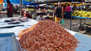 O NORDESTE TEM AS MELHORES FEIRAS COM CULTURA E TRADIÇÕES VEJA ISSO NA FEIRA DE RIACHO DAS ALMASPE [upl. by Ecad]