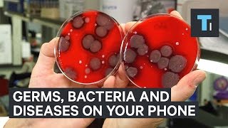 Germs bacteria and diseases living on your phone [upl. by Eneryt339]