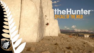 NEW AND IMPROVED FOXPRO X360 Multiplayer ⭐ TheHunter Call of the Wild⭐ livestream ✅ [upl. by Coyle]