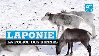 LAPONIE  À la rencontre de la police des rennes [upl. by Kinata]