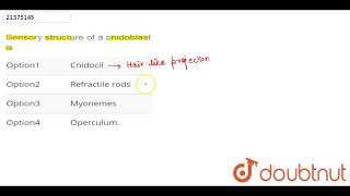 Sensory structure of a cnidoblast is [upl. by Low]