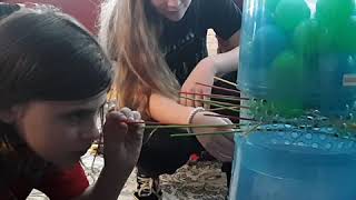 Playing giant Kerplunk with the cousins [upl. by Annoif]